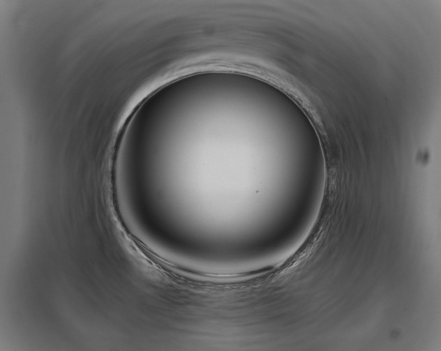X0000098051530200803281442