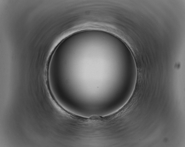 X0000098051531200803281442