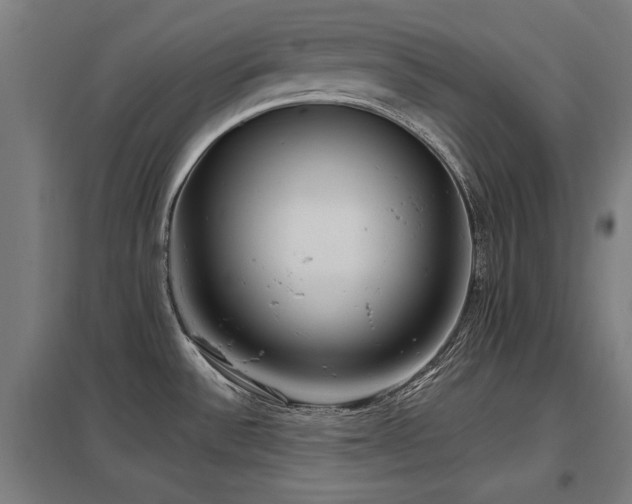 X0000098051532200803281442