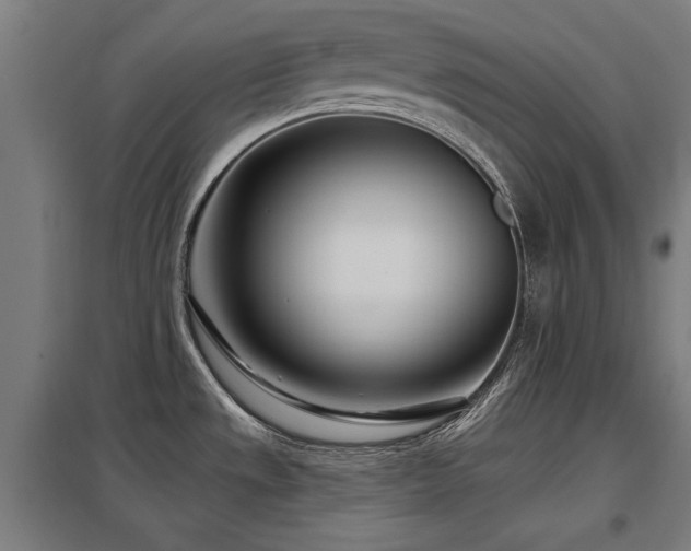 X0000098051533200803281442