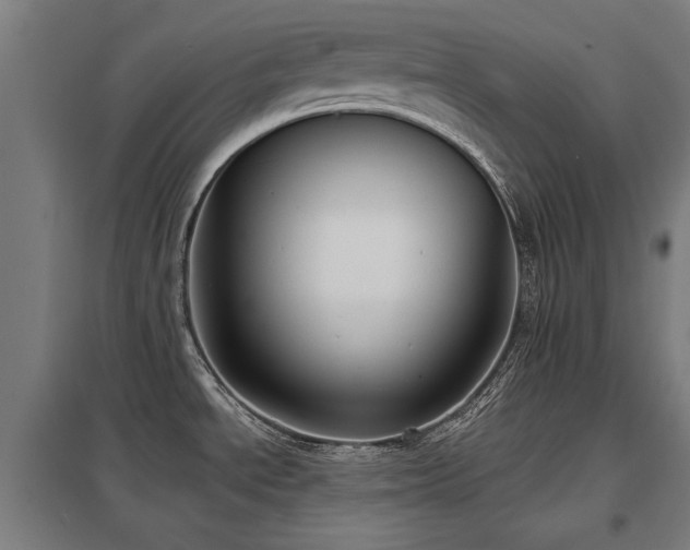 X0000098051534200803281442
