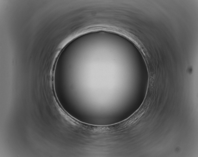 X0000098051535200803281442