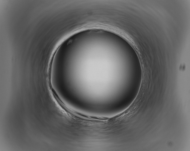 X0000098051536200803281442