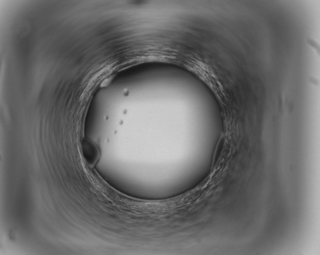 X0000098050001200804071519