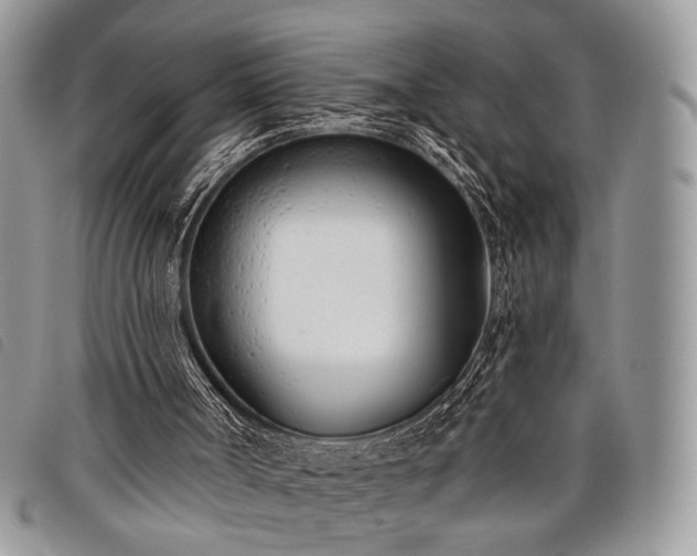 X0000098050002200804071519