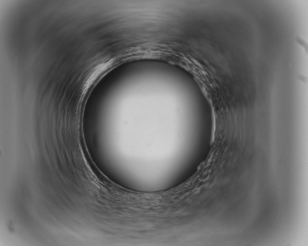 X0000098050003200804071519