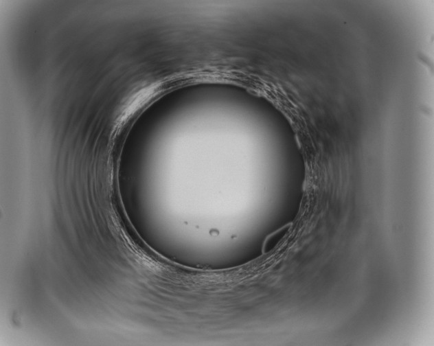 X0000098050005200804071519