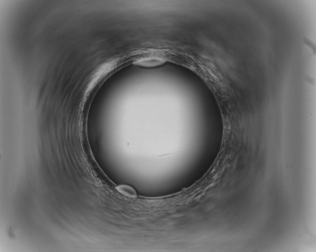 X0000098050006200804071519