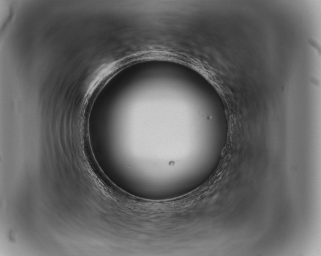 X0000098050007200804071519