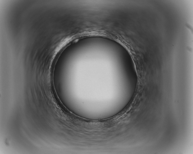 X0000098050008200804071519