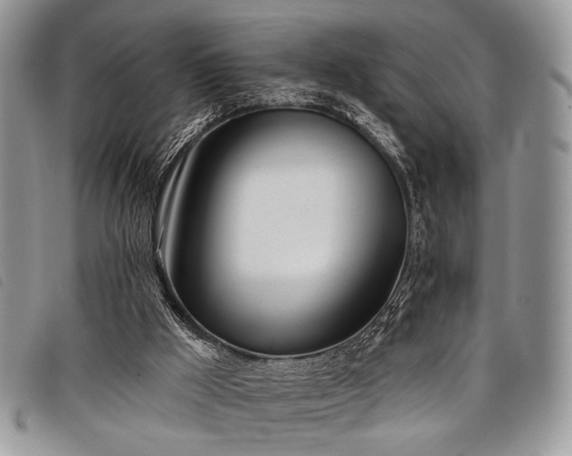 X0000098050009200804071519