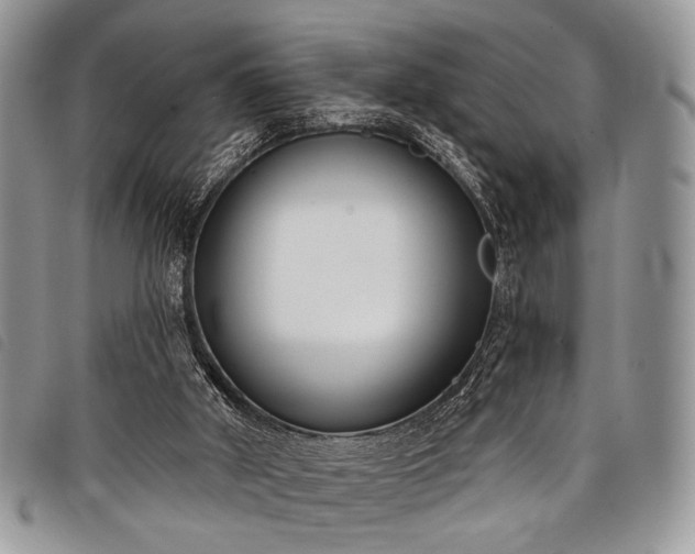 X0000098050010200804071519