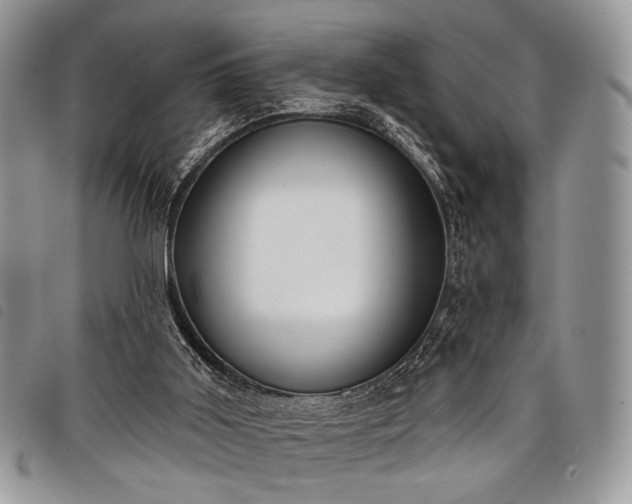 X0000098050011200804071519