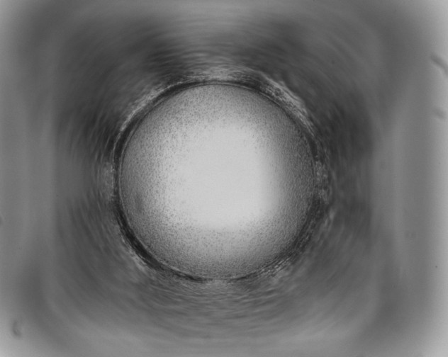 X0000098050012200804071519