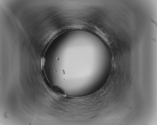 X0000098050013200804071519