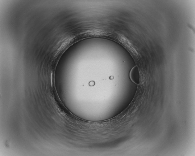 X0000098050014200804071519