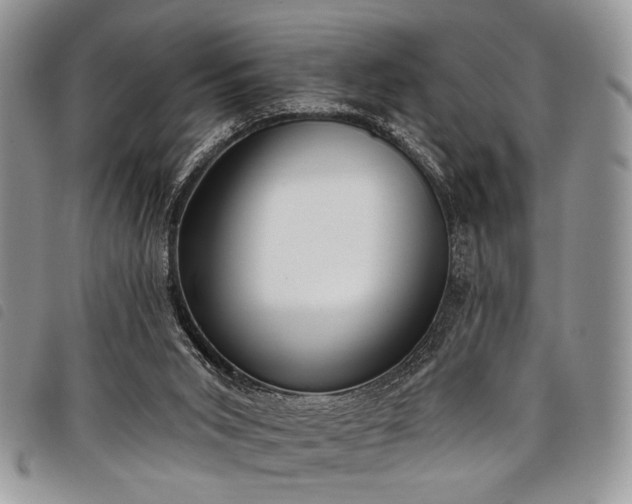 X0000098050015200804071519