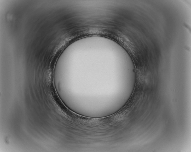 X0000098050016200804071519