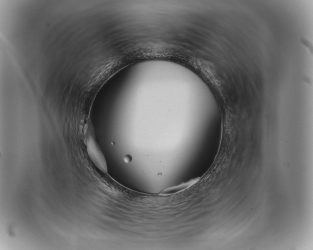 X0000098050017200804071519