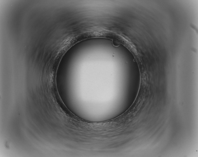 X0000098050018200804071519