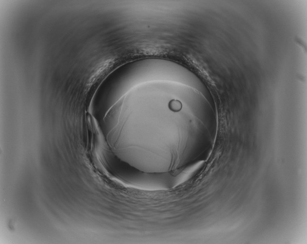 X0000098050019200804071519