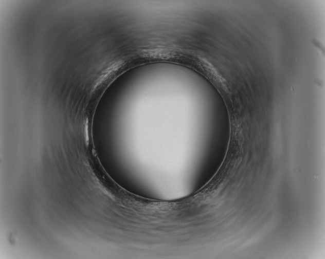 X0000098050020200804071519