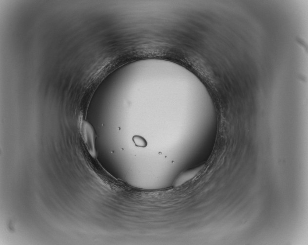 X0000098050021200804071519