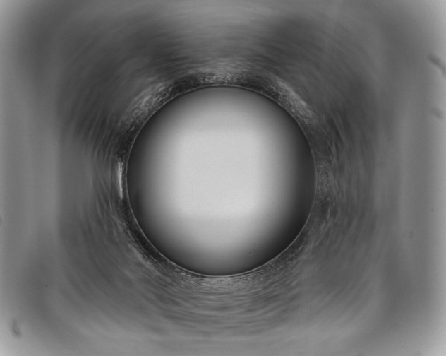 X0000098050022200804071519