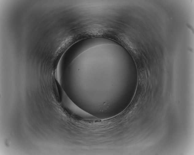 X0000098050023200804071519