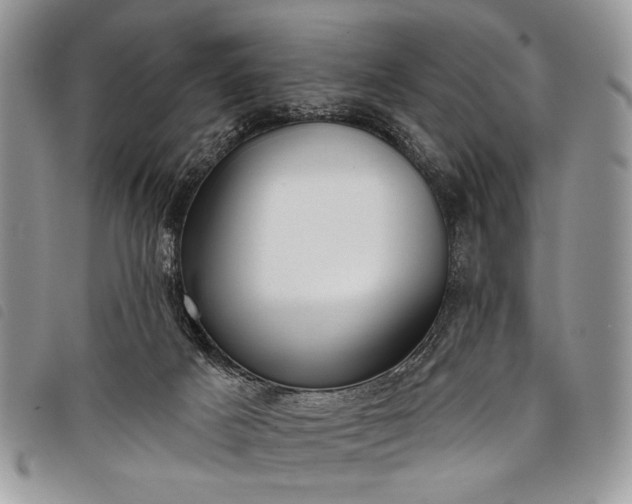 X0000098050025200804071519