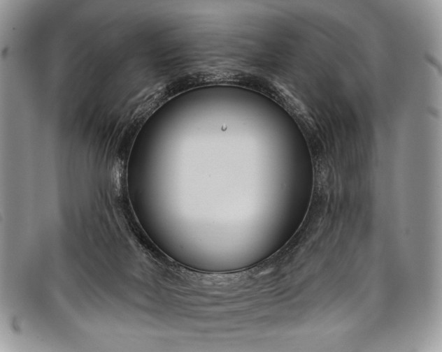 X0000098050026200804071519