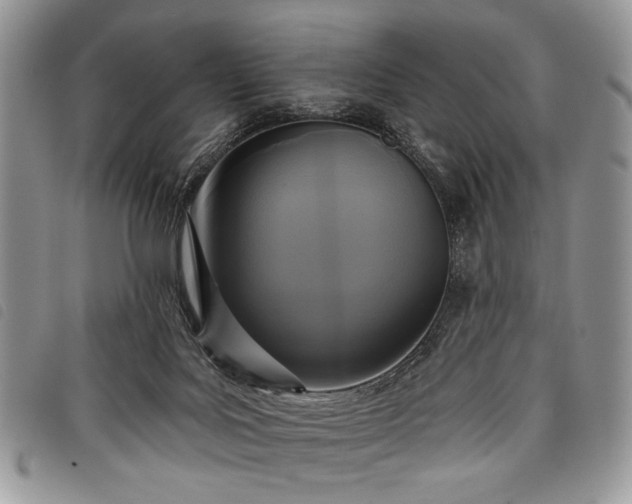 X0000098050027200804071519