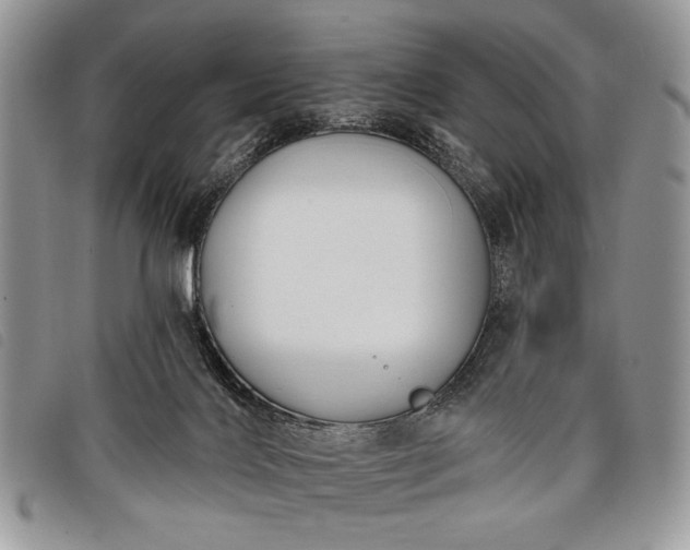 X0000098050028200804071519