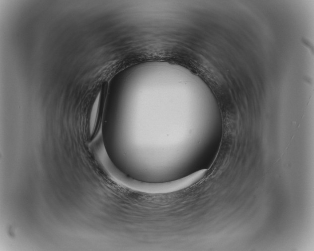 X0000098050029200804071519