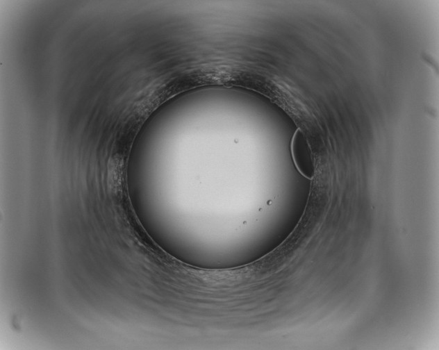 X0000098050030200804071519