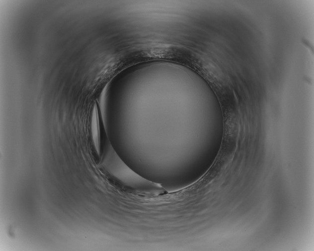 X0000098050031200804071519