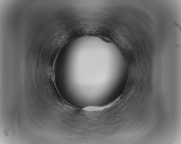 X0000098050033200804071519