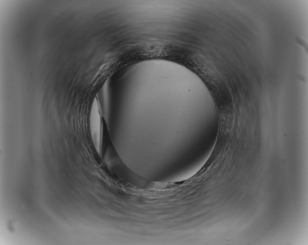 X0000098050035200804071519