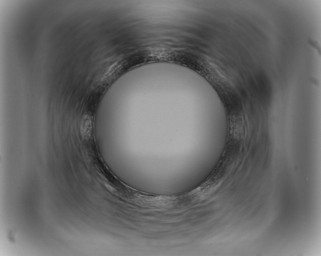 X0000098050036200804071519