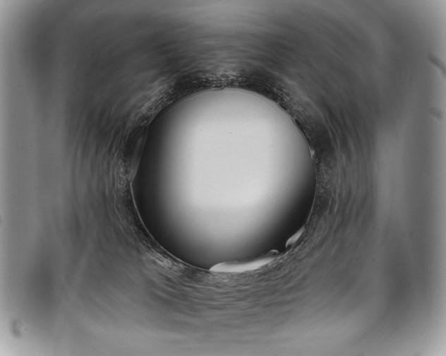 X0000098050037200804071518