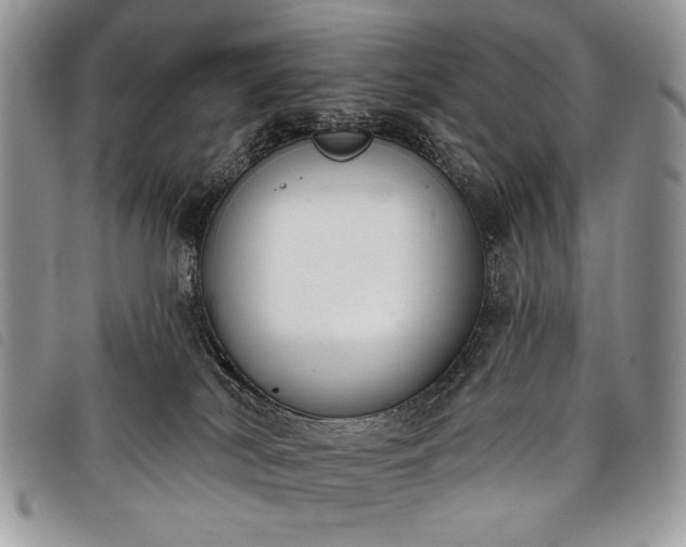 X0000098050038200804071518