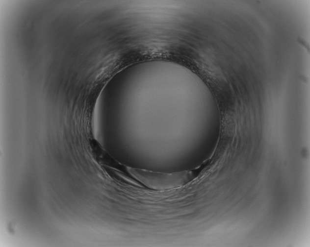 X0000098050039200804071518