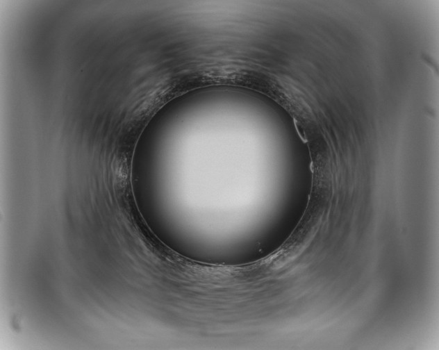 X0000098050040200804071518