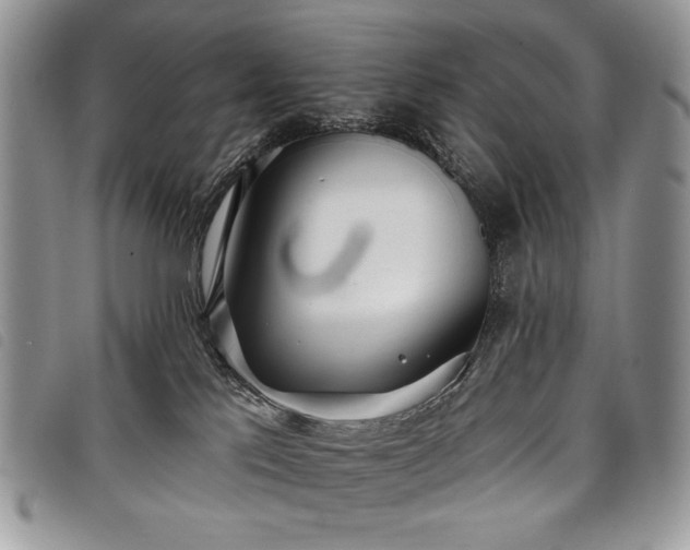 X0000098050041200804071518