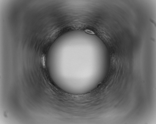 X0000098050042200804071518