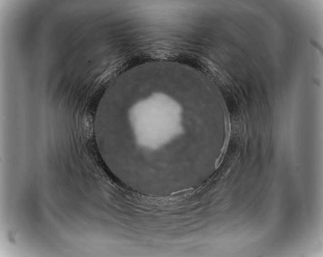 X0000098050043200804071518