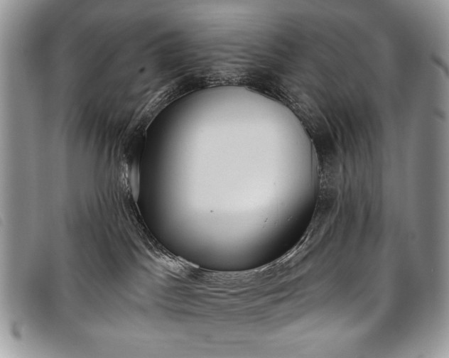 X0000098050045200804071518