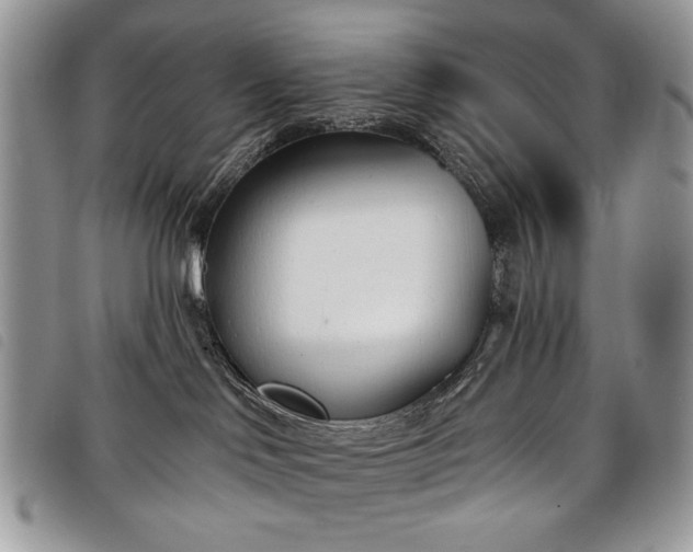 X0000098050046200804071518