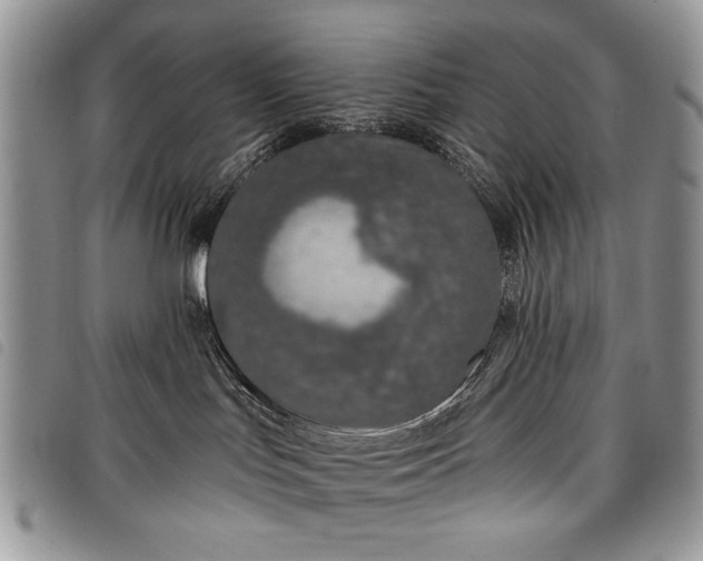 X0000098050047200804071518