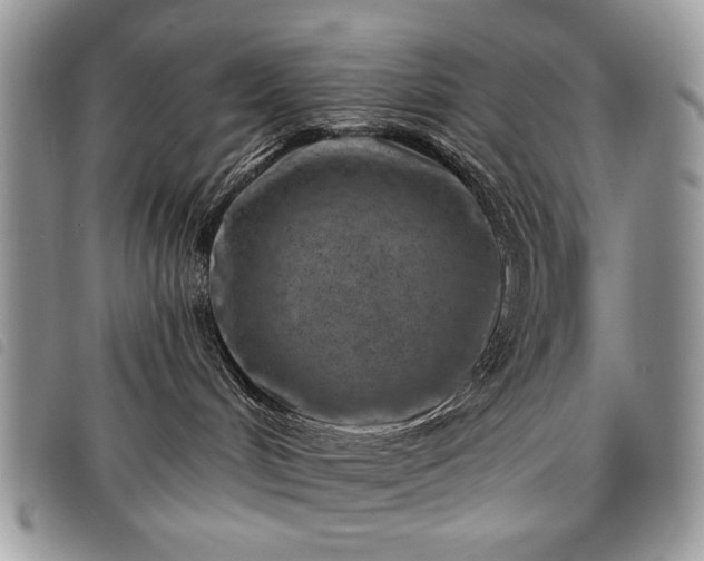 X0000098050048200804071518